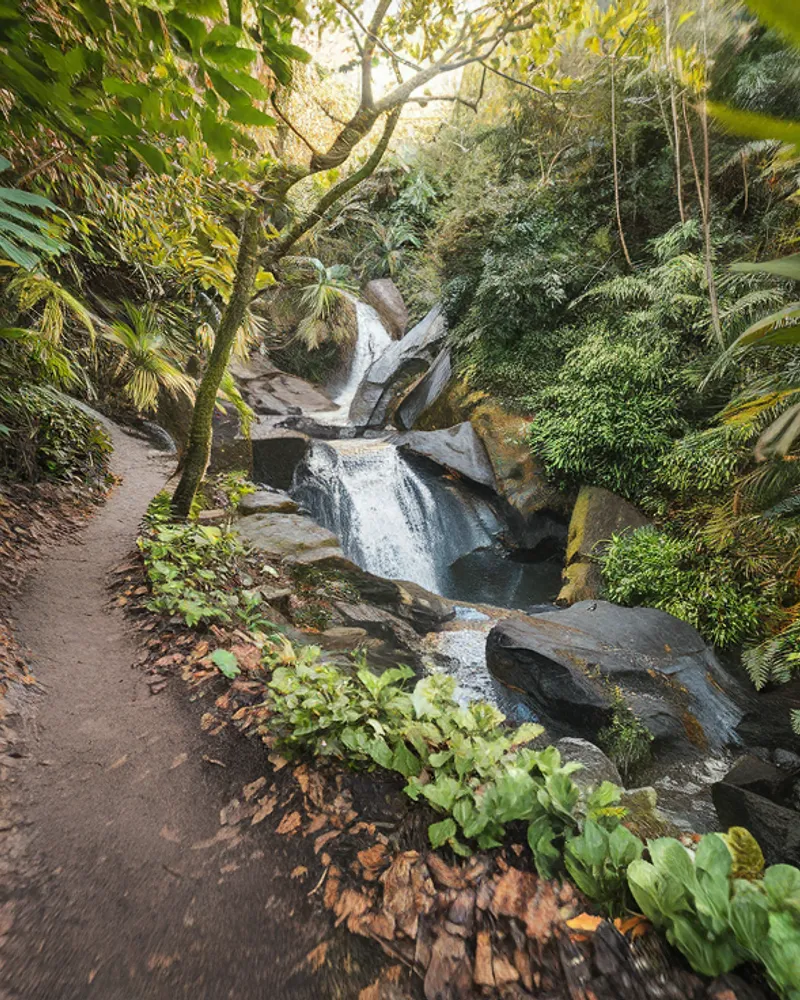 Explorer la Guadeloupe à Pied : Sentiers Balisés et Balades en Forêt Tropicale
