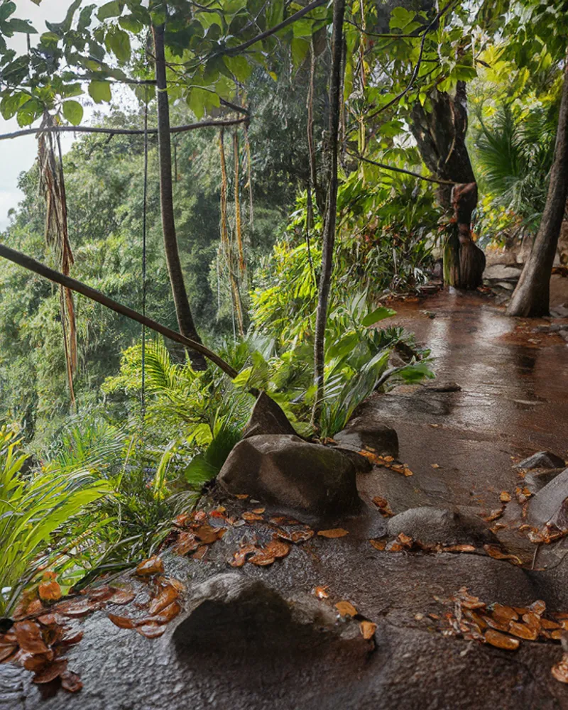 Randonnées Incontournables en Guadeloupe : Cascades, Traces et Panoramas Volcaniques