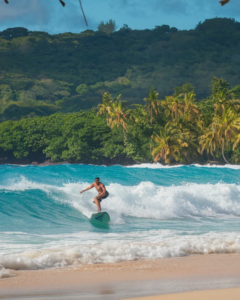 Panoramas et Espaces Naturels Protégés : Les Trésors Verts de Guadeloupe